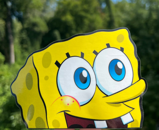 Sponge peeker