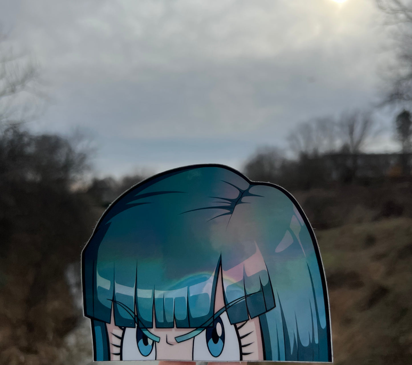 Bulma holographic peeker